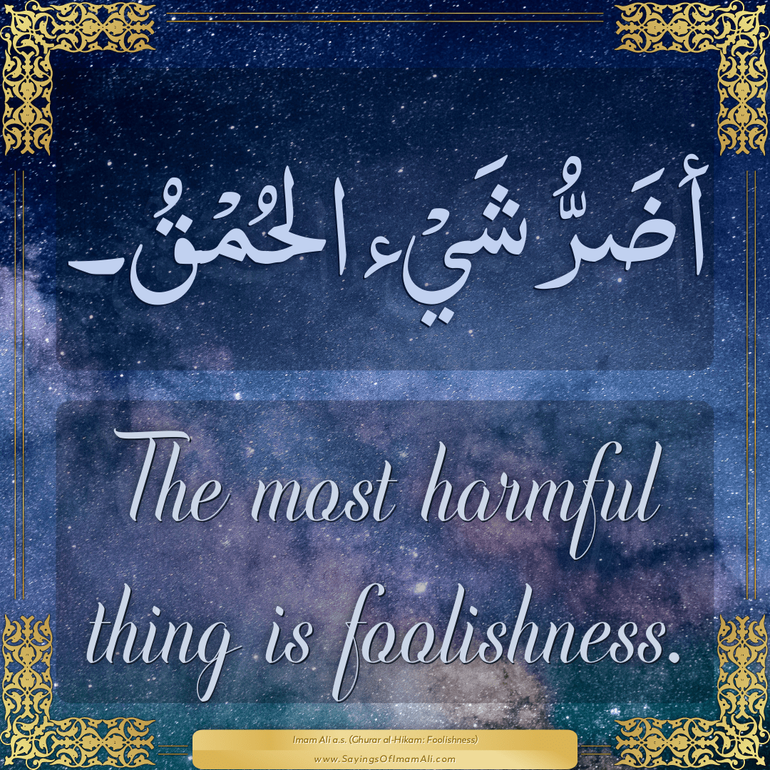 The most harmful thing is foolishness.